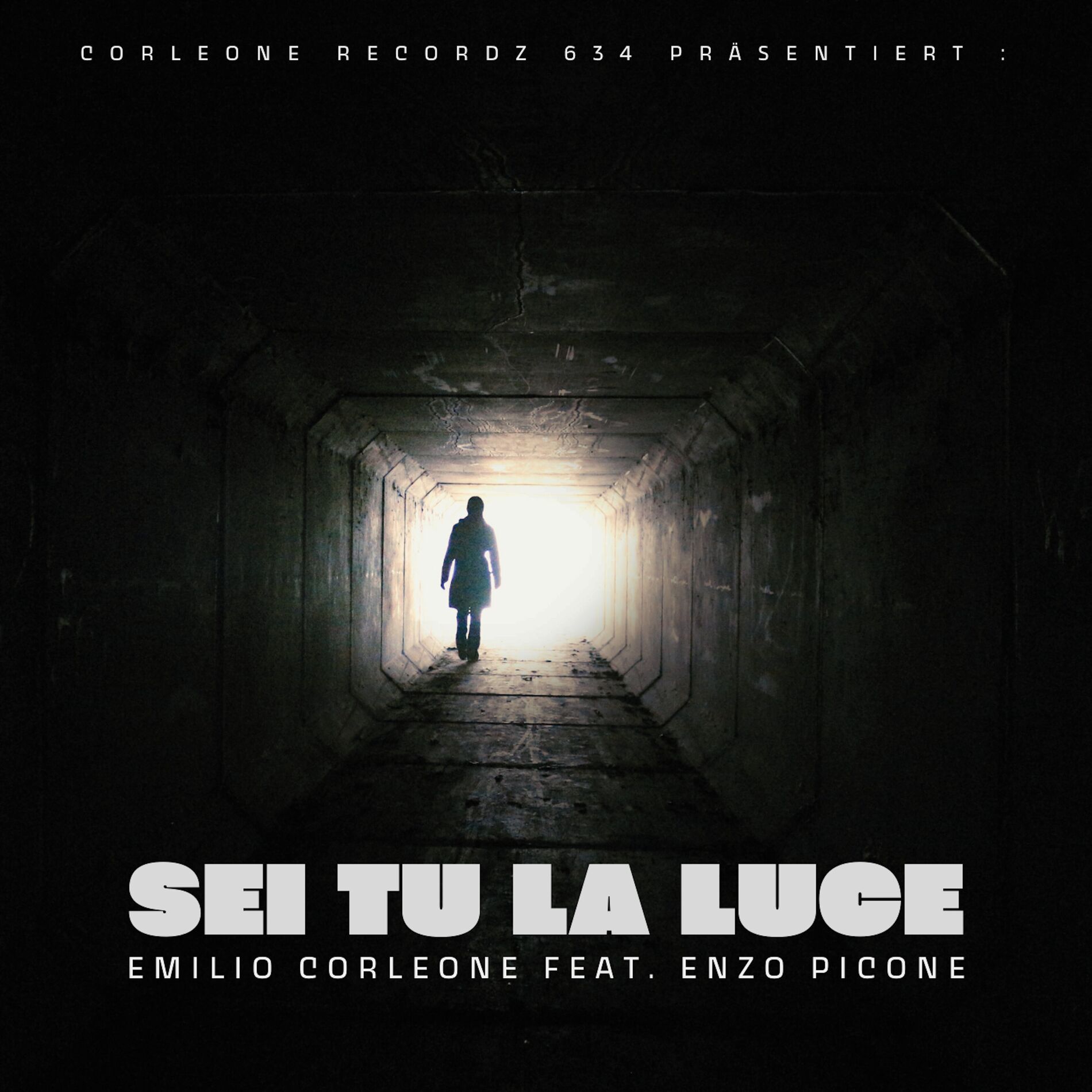 Album cover of Sei Tu La Luce