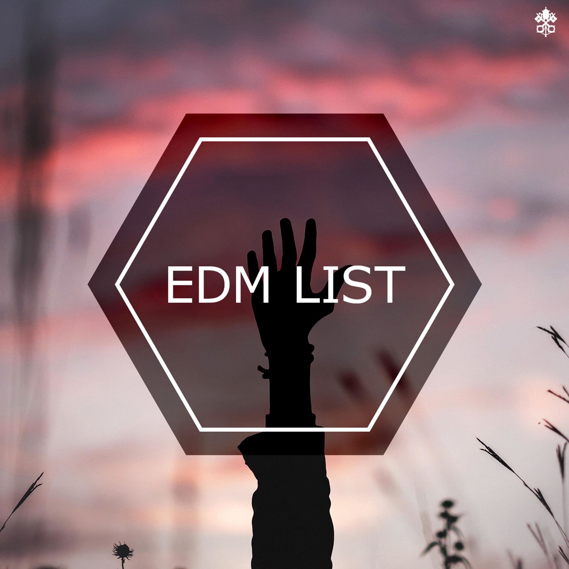Album cover of EDM List