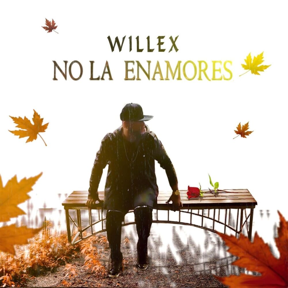 Picture of No la Enamores