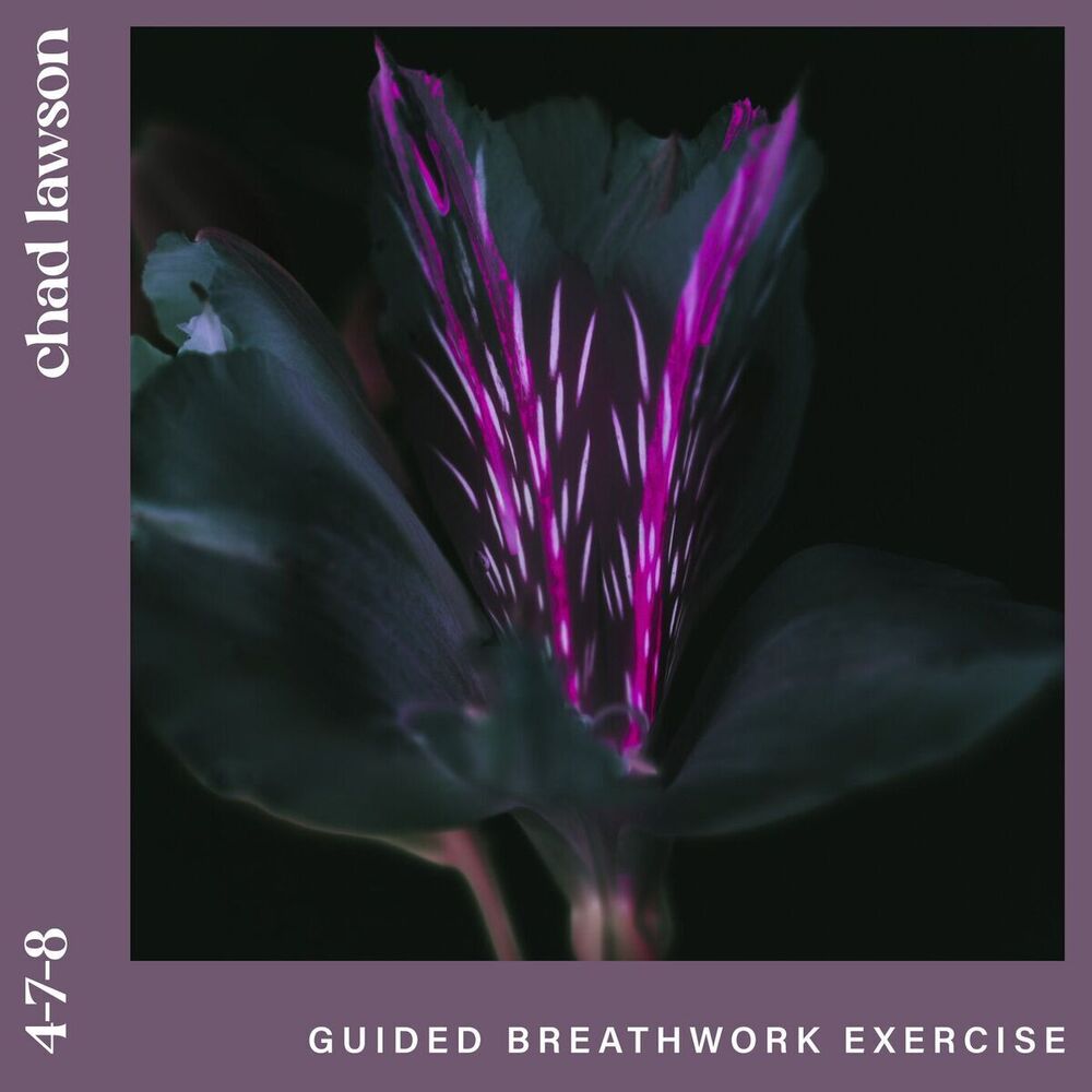 Picture of 4-7-8 (guided breathwork exercise)