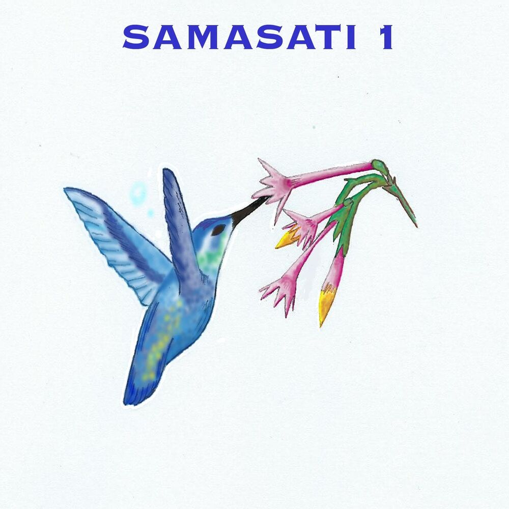 Picture of Samasati 1