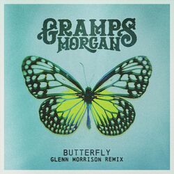 Cover of Butterfly (Glenn Morrison Remix)
