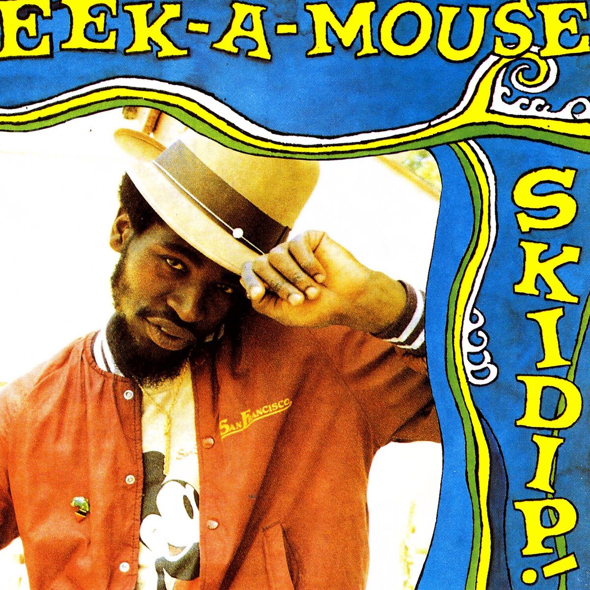 Album cover of Skidip