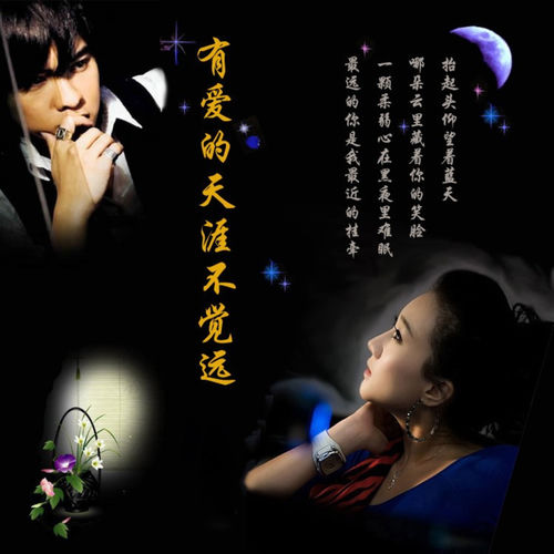 天涯不觉远