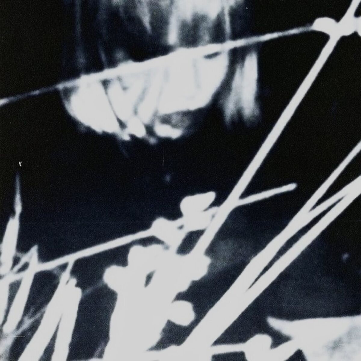 Album cover of things she said