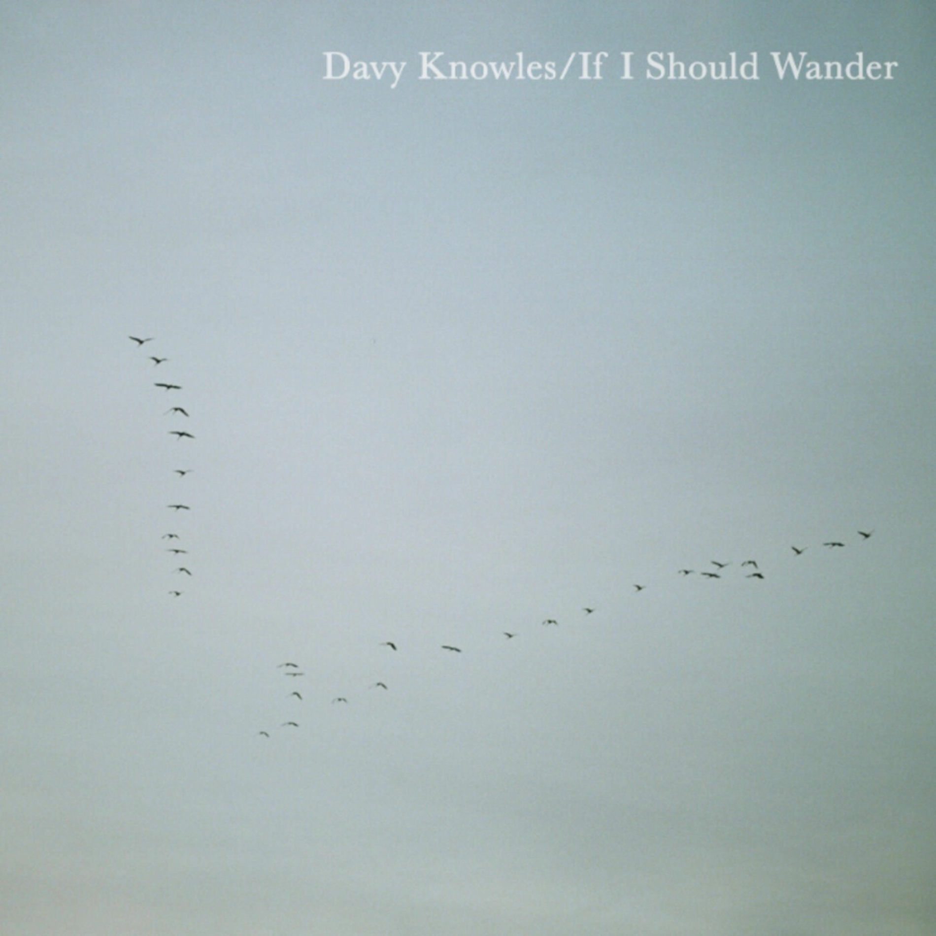 Album cover of If I Should Wander