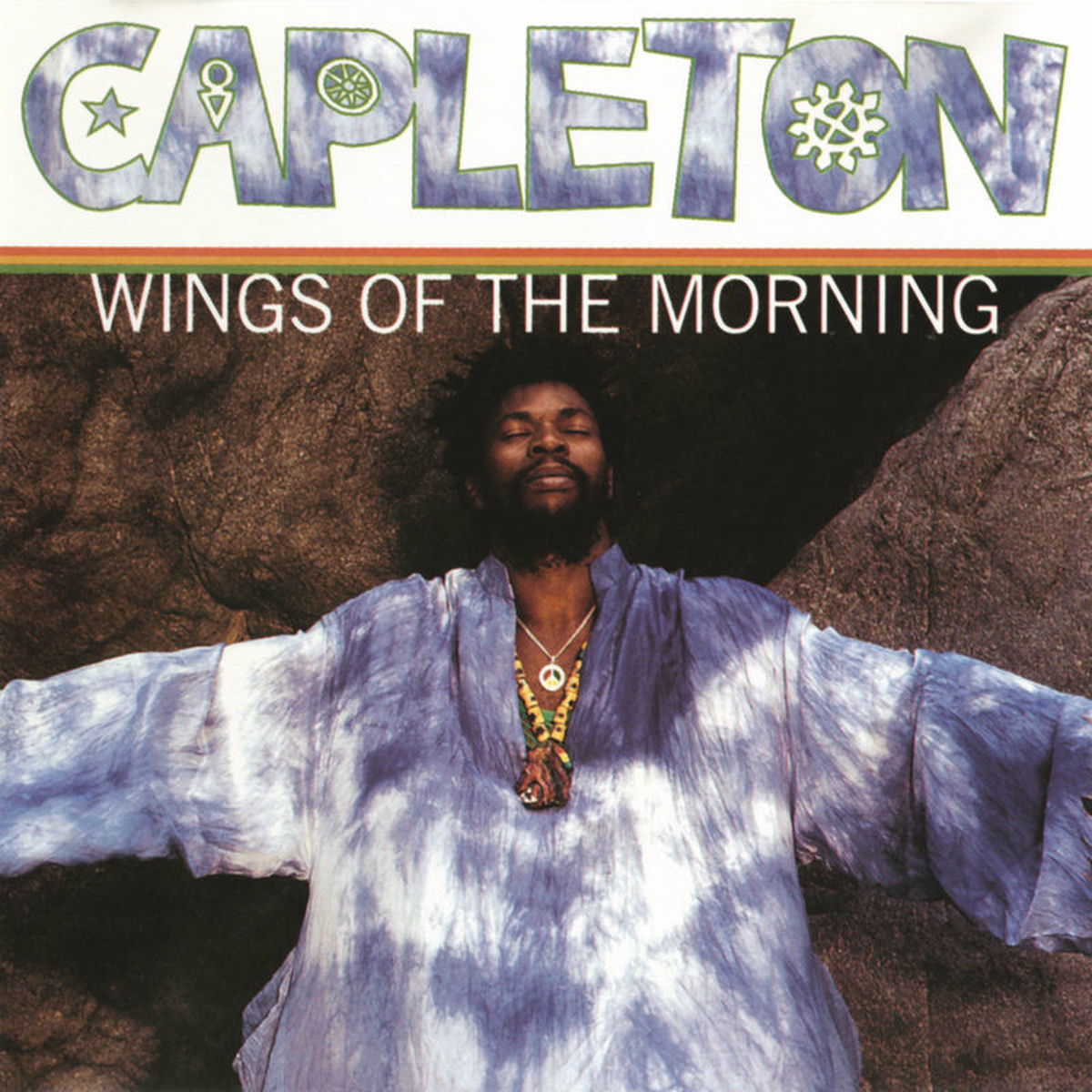 Album cover of Wings Of The Morning
