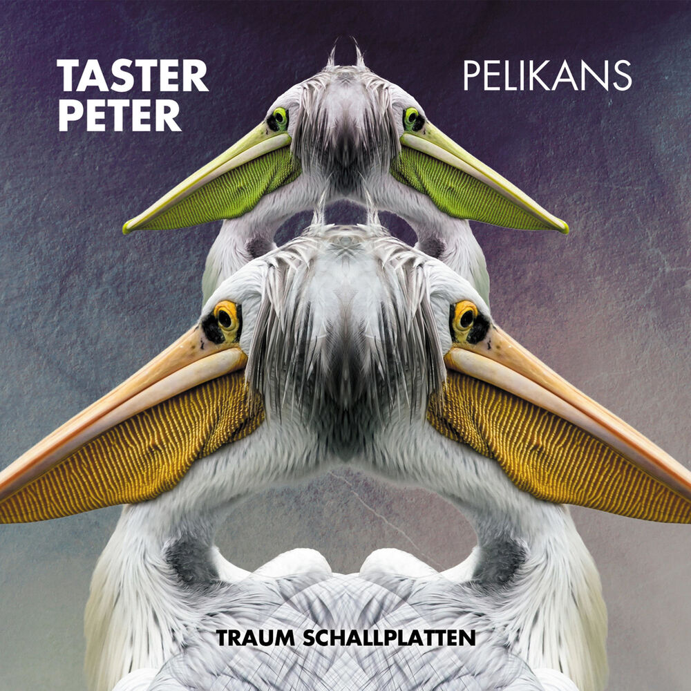 Picture of Pelikans