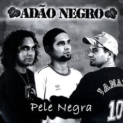 Cover of Pele Negra