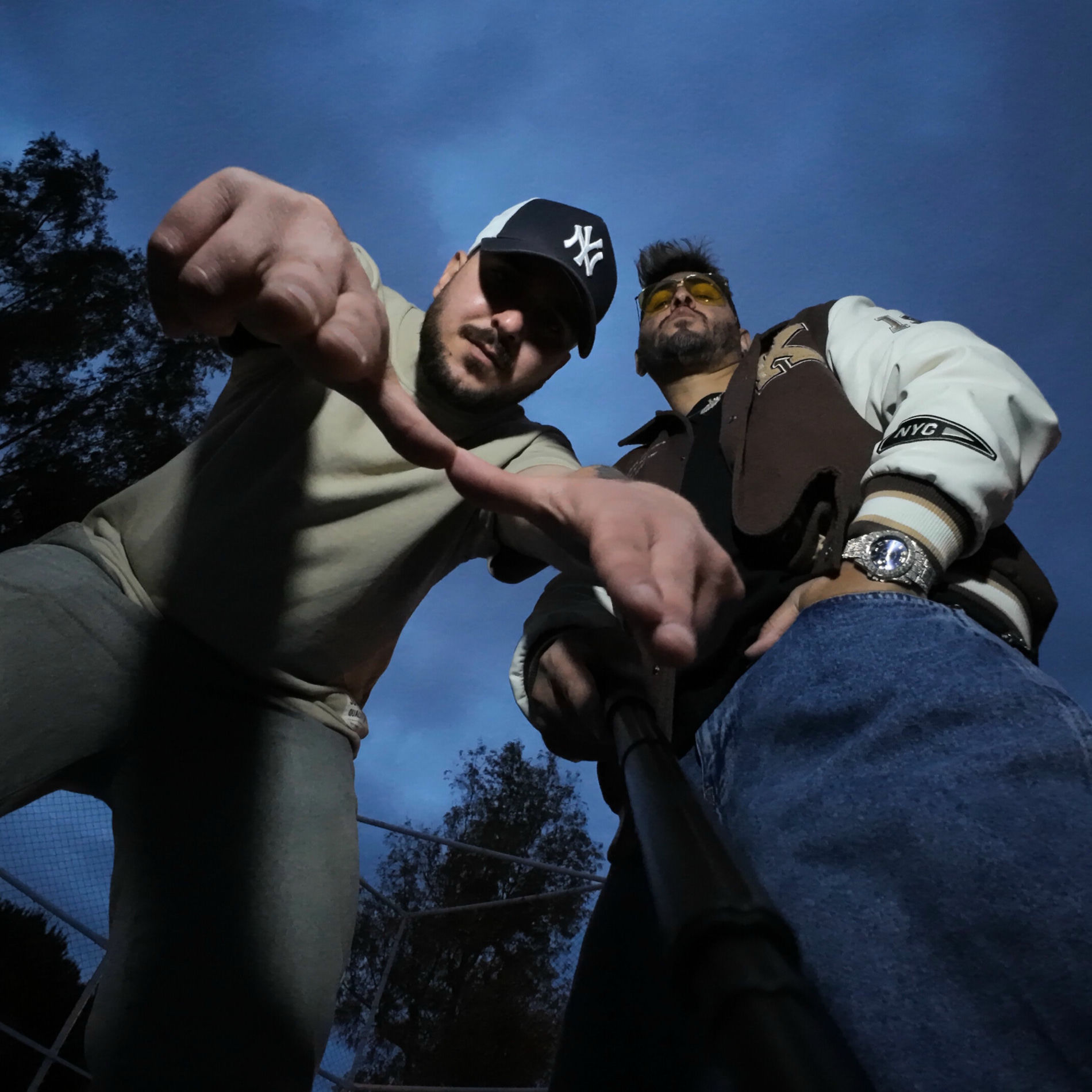 Album cover of Arsız