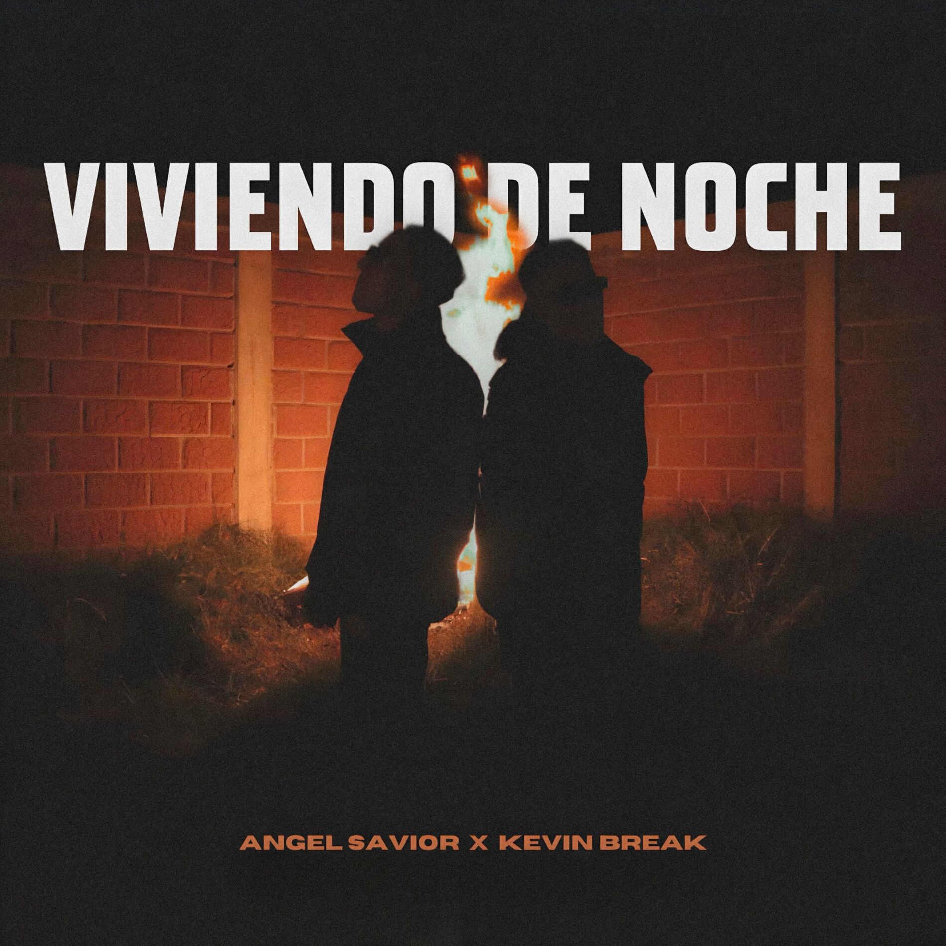 Album cover of Viviendo de Noche