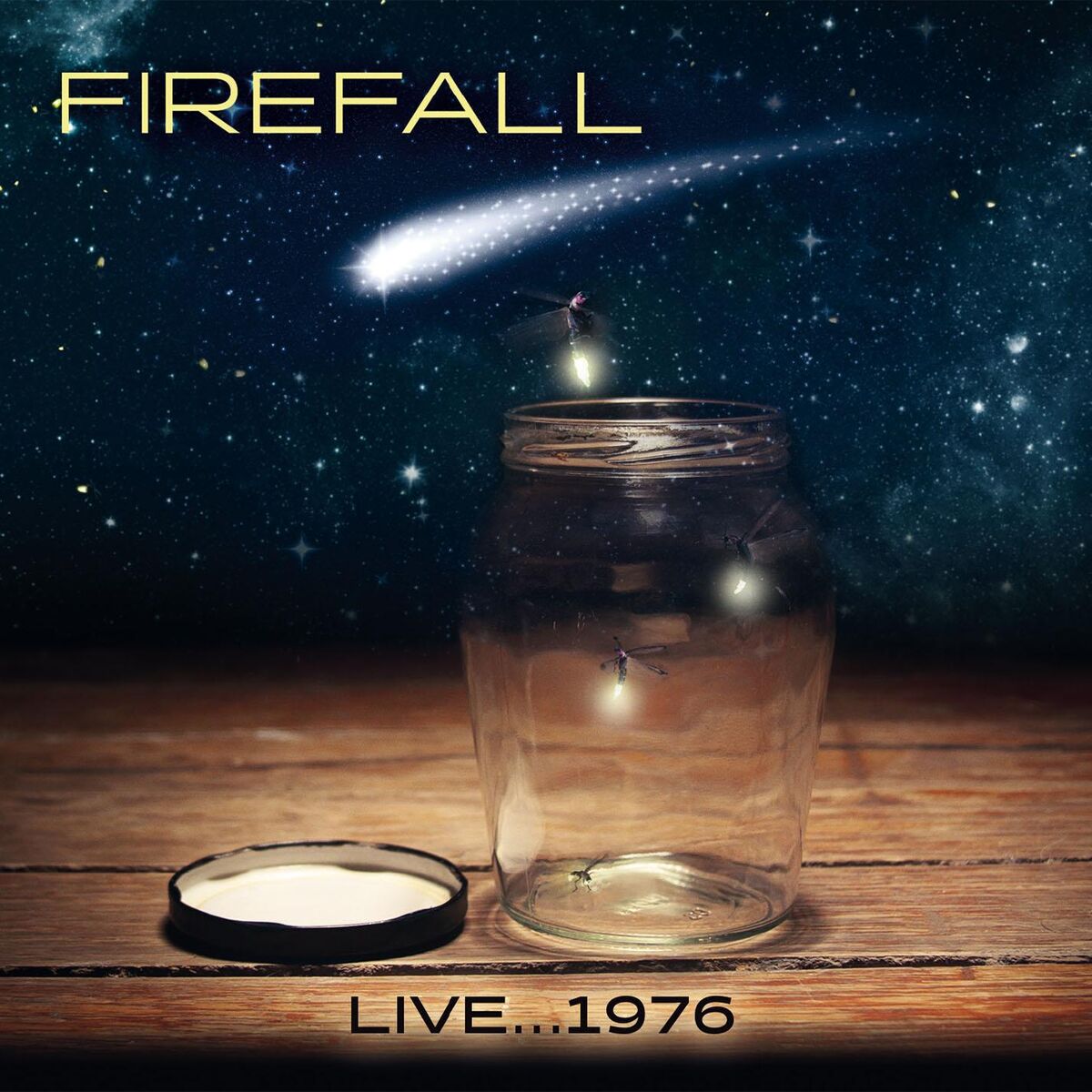 Album cover of Live...1976