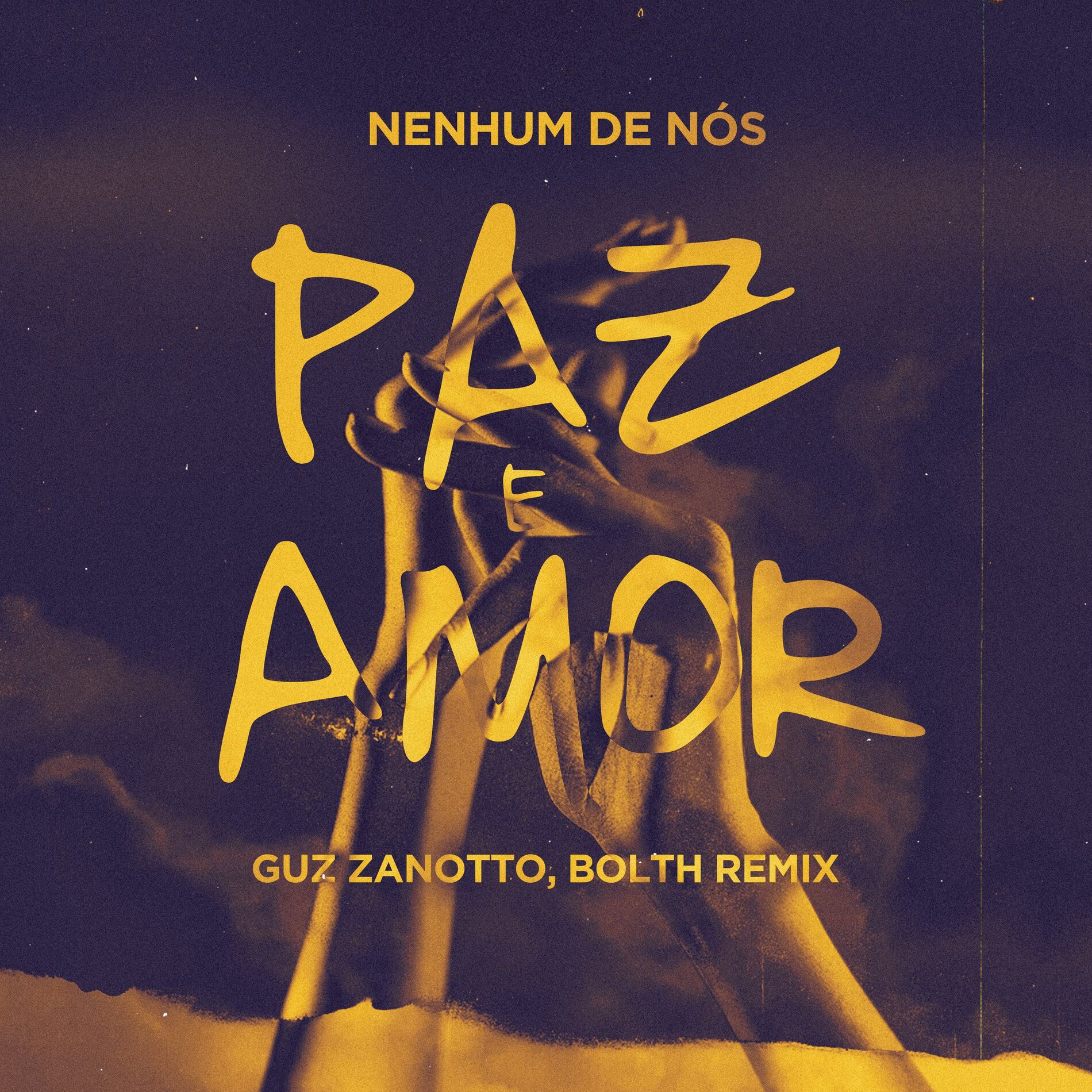 Album cover of Paz e Amor (Guz Zanotto & Bolth Mix)