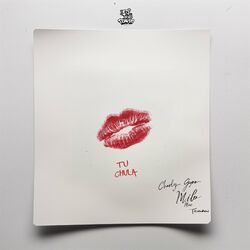 Cover of Tu Chula