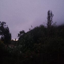 Cover of everything for me