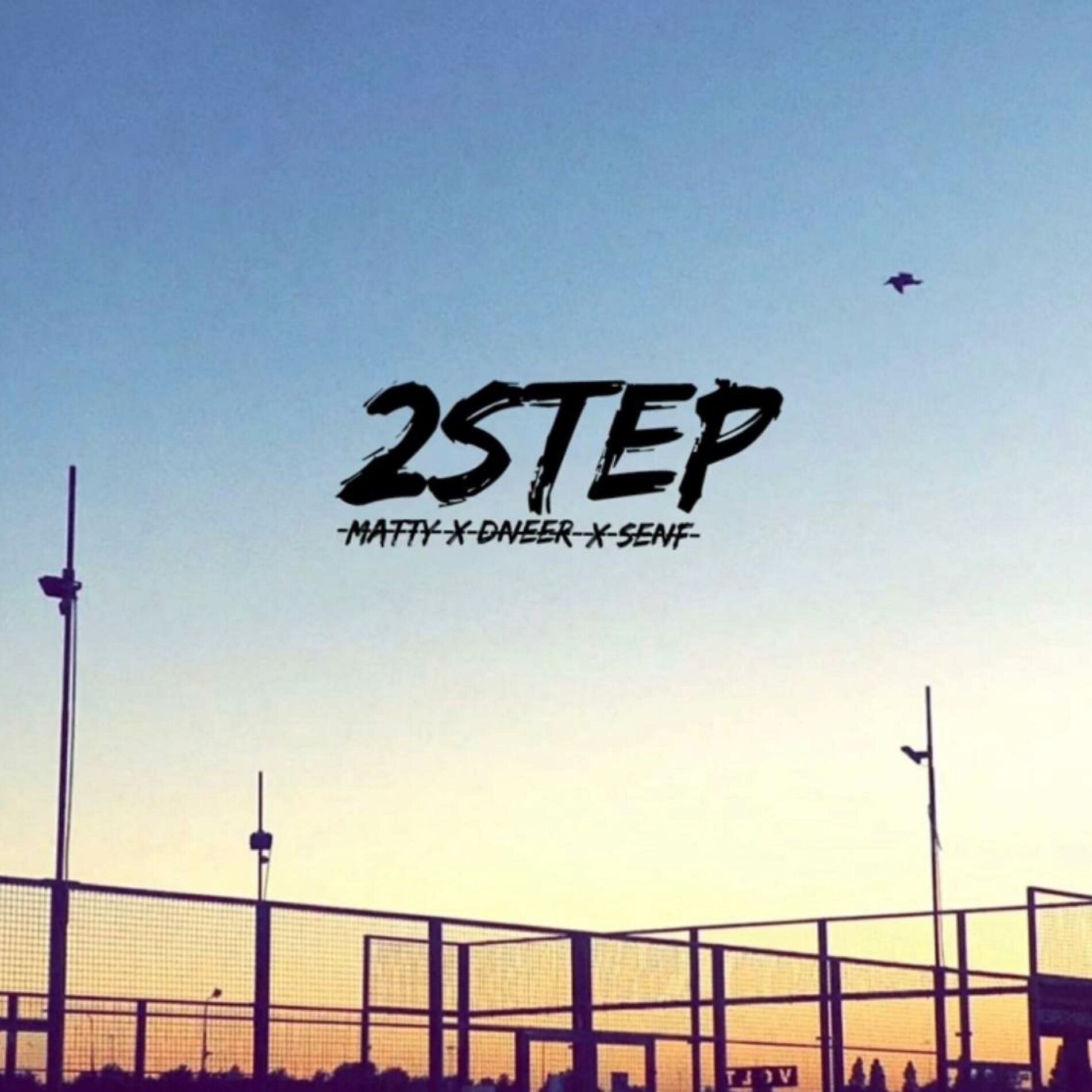 Album cover of 2STEP (feat. MATTY & SENF)