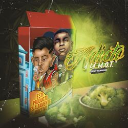 Cover of Adicto a la Mota