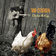 Suzanna by Tim O'Brien album cover