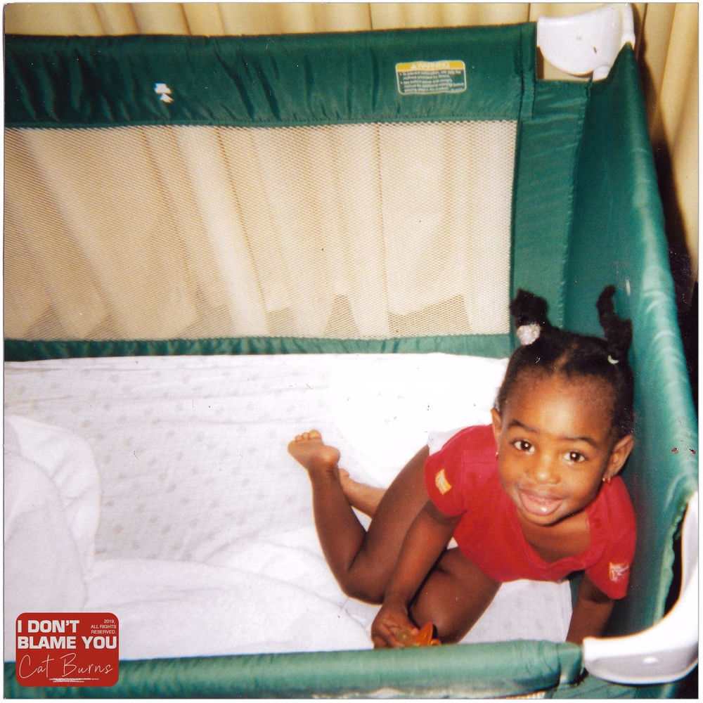 I Don't Blame You album cover
