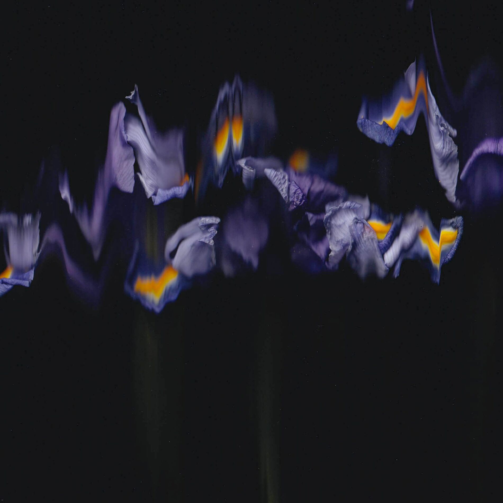 Album cover of After-Image