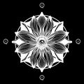 N&eacute;nuphar