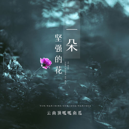 一朵坚强的花