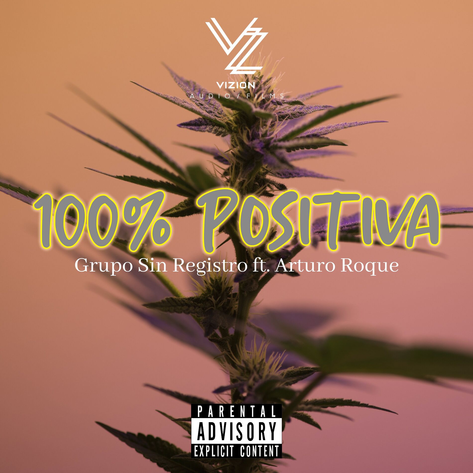 Album cover of 100% Positiva