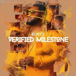 Cover of Verified Milestone