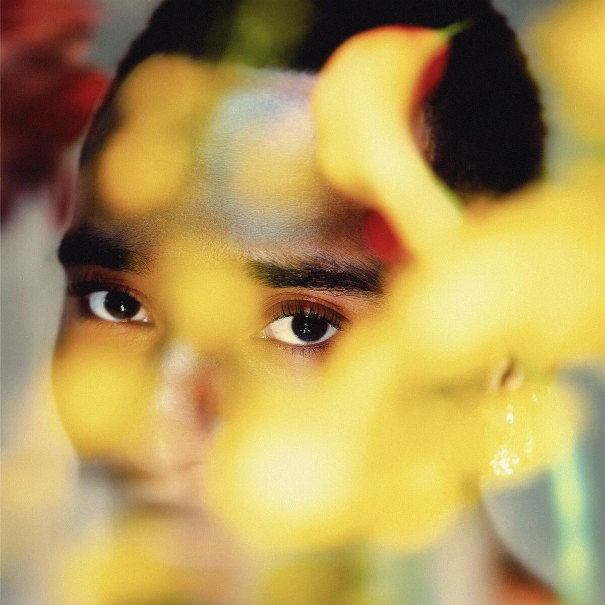 Album cover of BLOOM