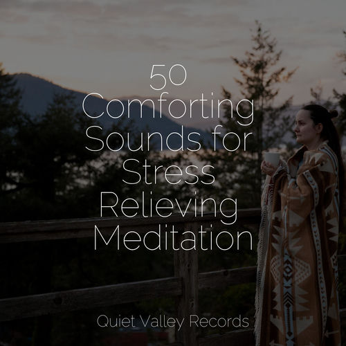 50 Comforting Sounds for Stress Relieving Meditation