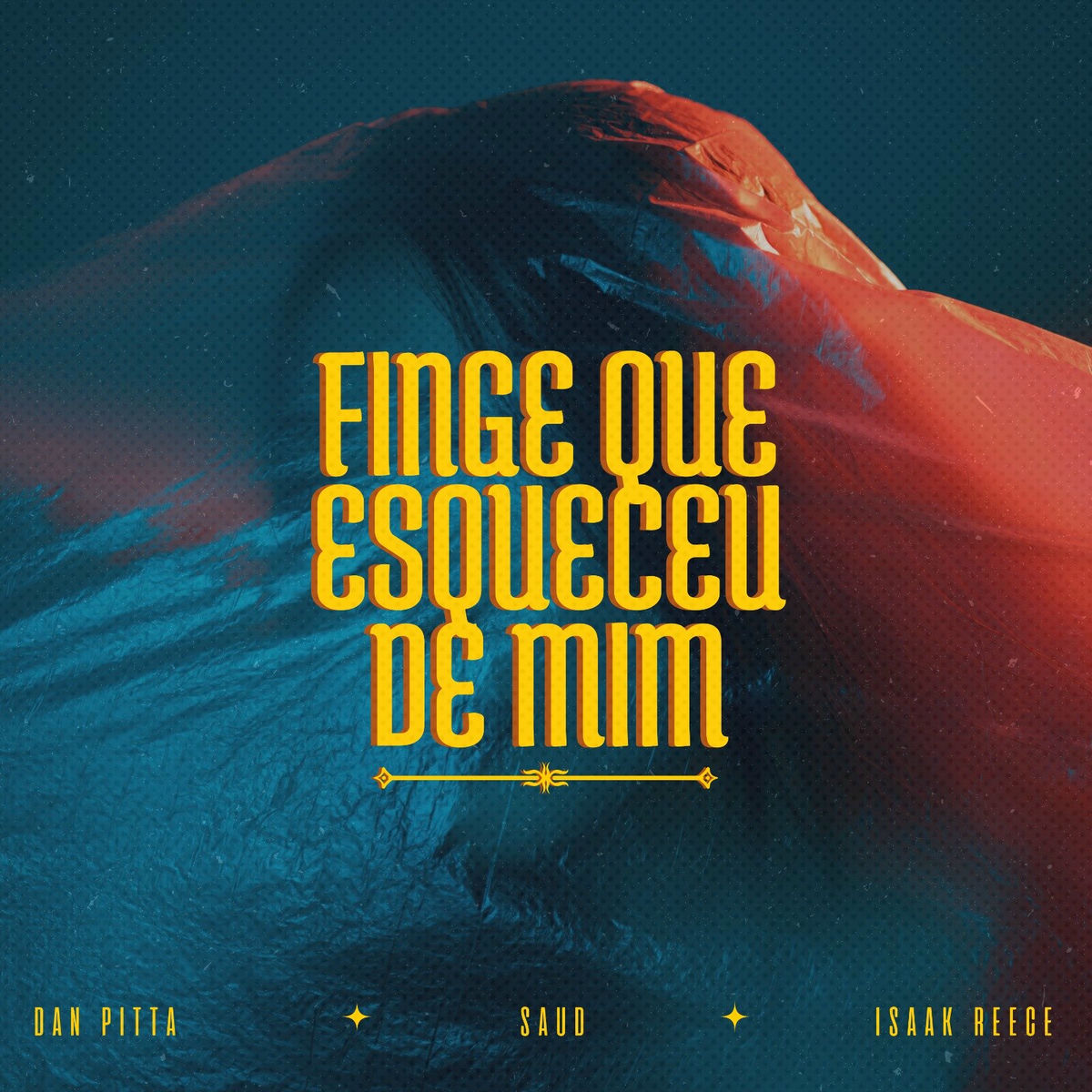 Album cover of Finge que Esqueceu de Mim