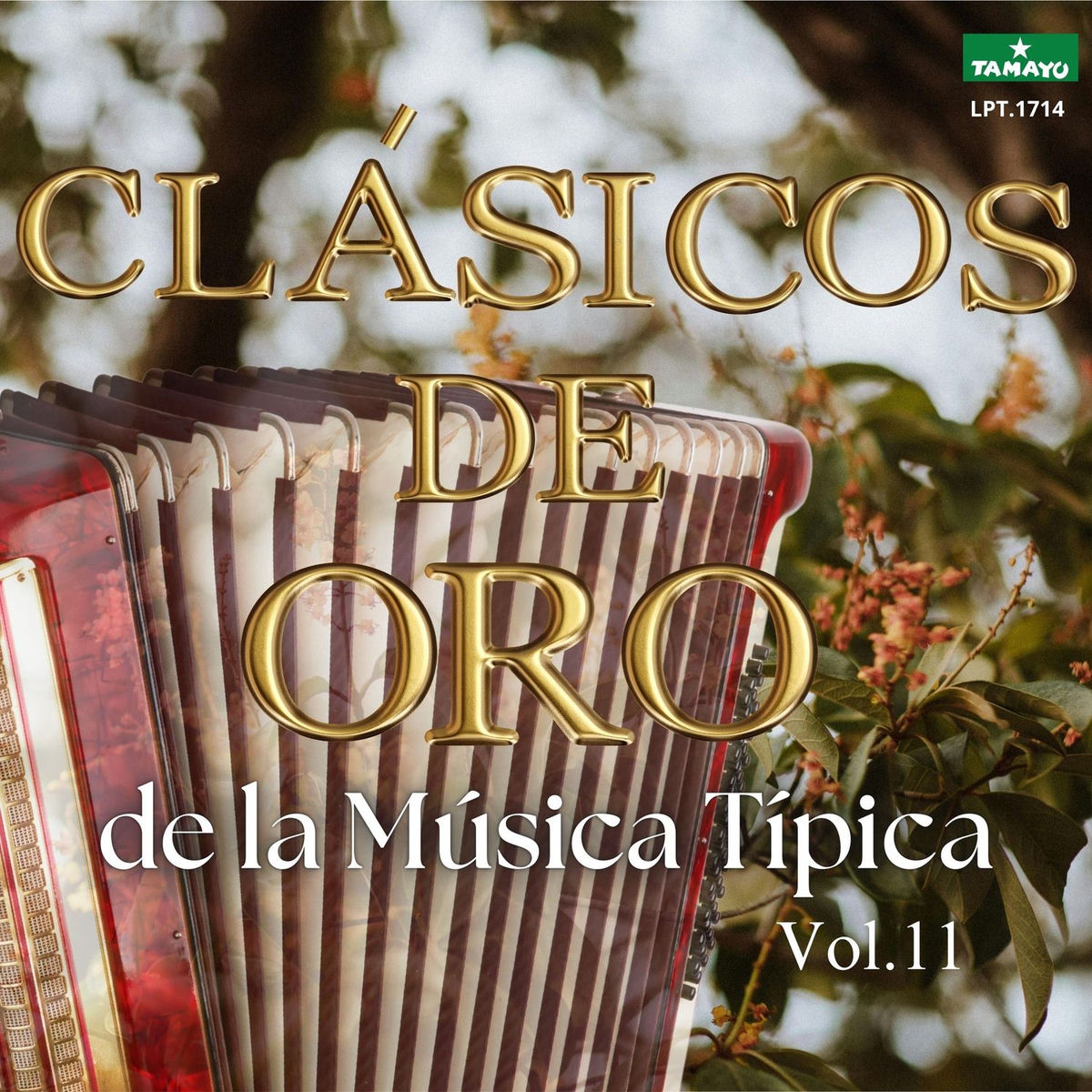 Album cover of Clásicos de Oro de la Música Típica, Vol. 11