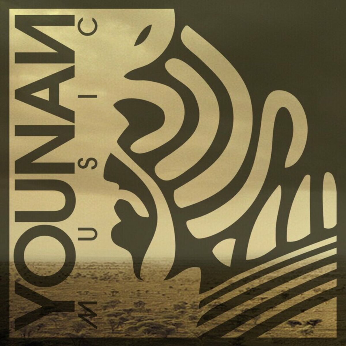 Album cover of Tech House Vibes 2 (DJ Mix)
