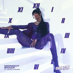 Cover of Midnight Snack