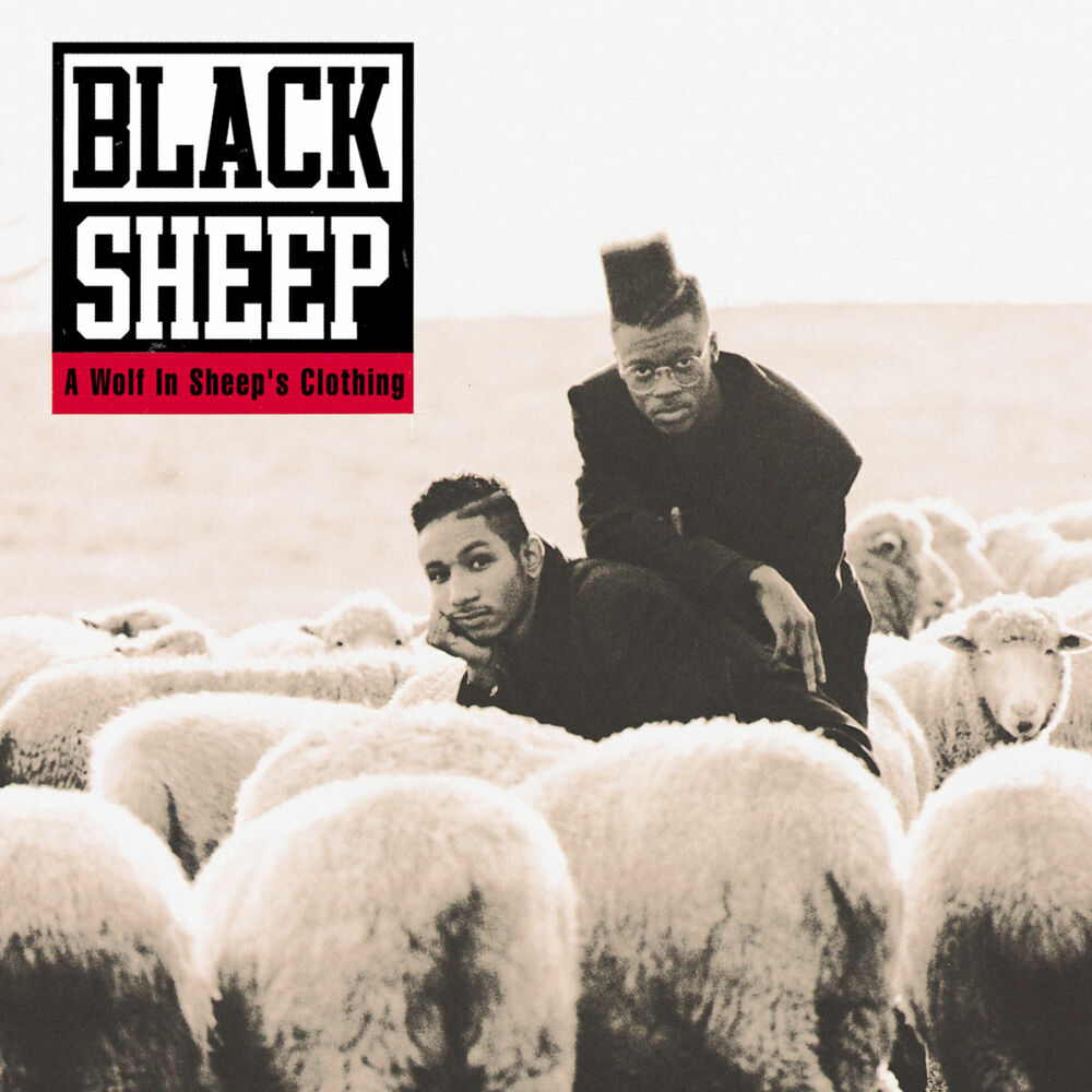Picture of A Wolf In Sheep's Clothing