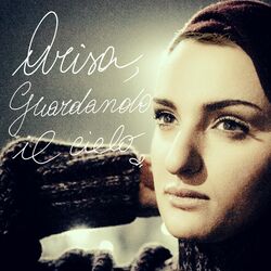Cover of Guardando il cielo