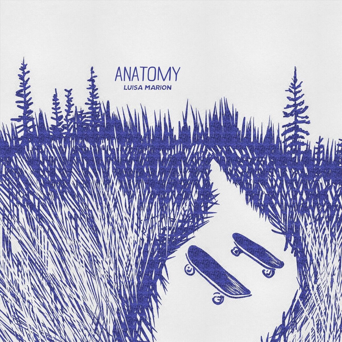 Album cover of ANATOMY