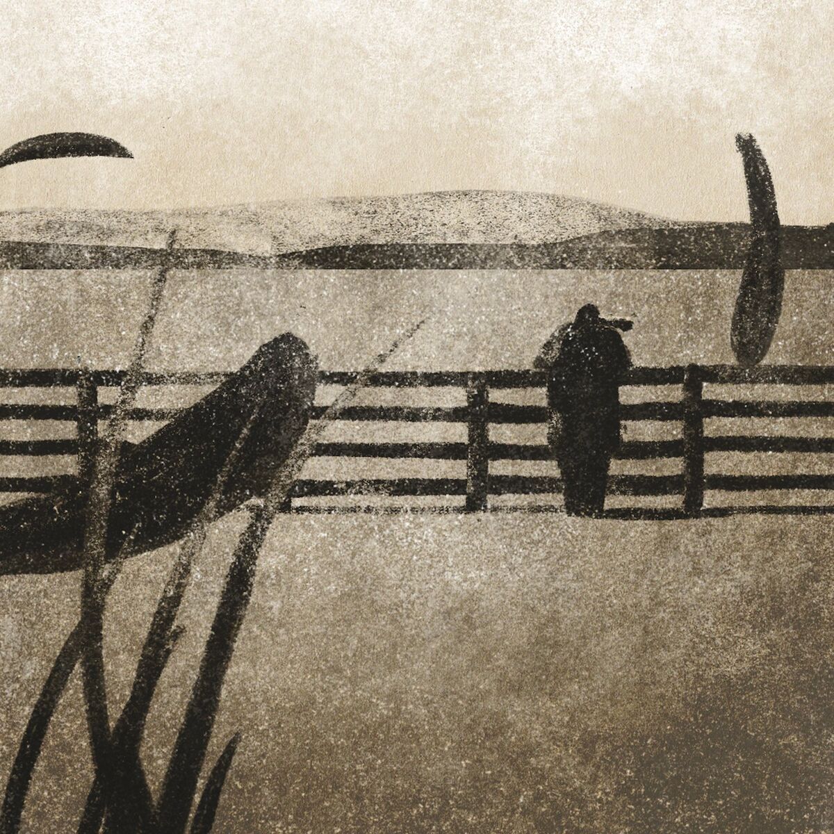 Album cover of Softly Spoken