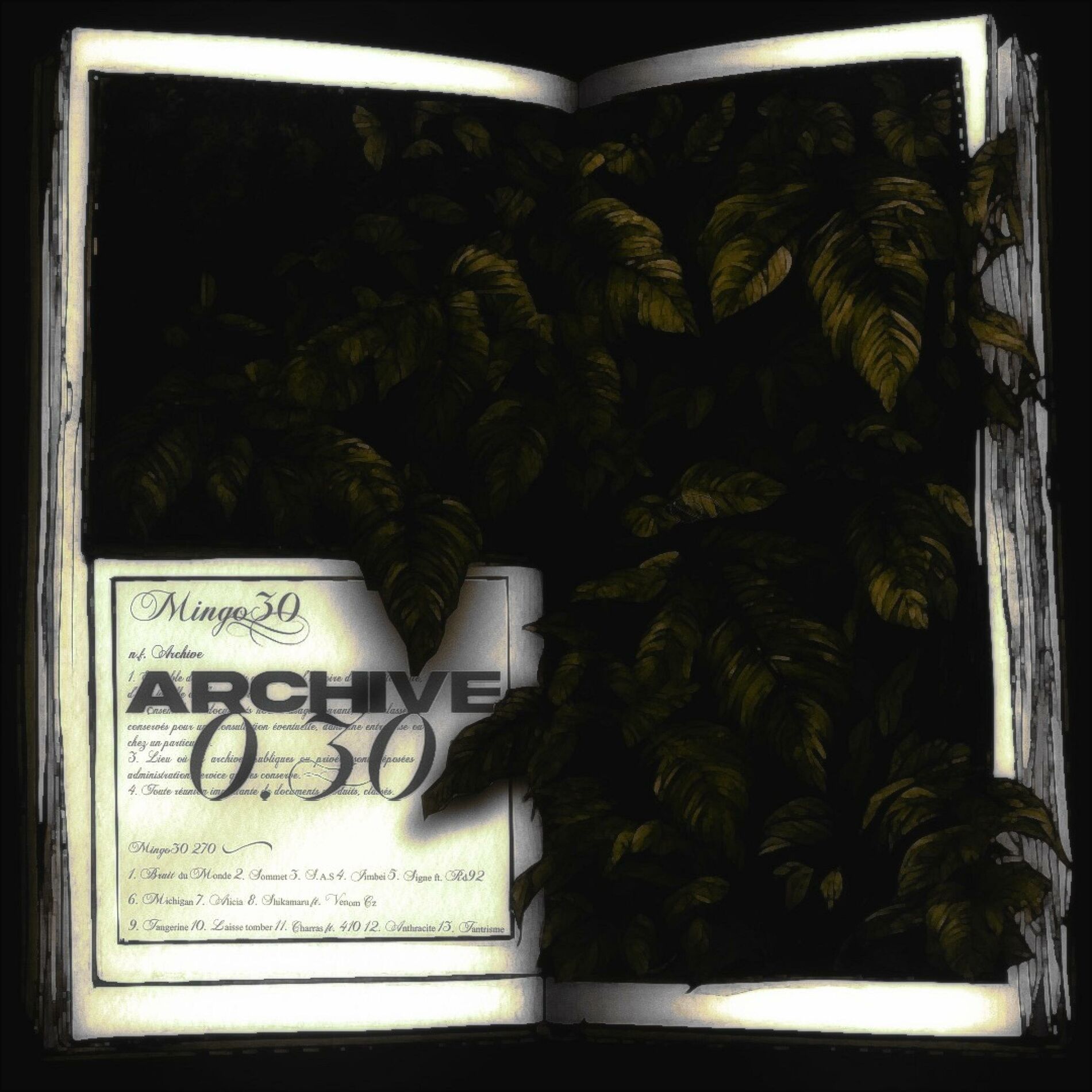 Album cover of ARCHIVE0.30