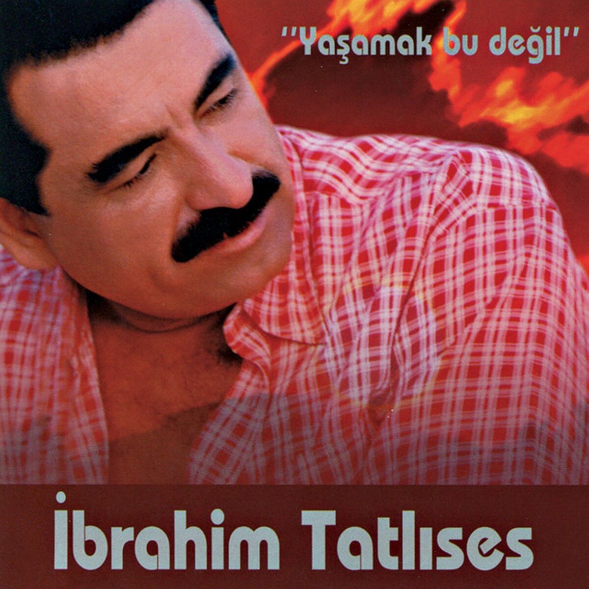 Album cover of Yaşamak Bu Değil