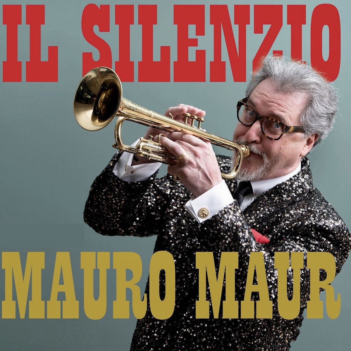 Album cover of Il Silenzio