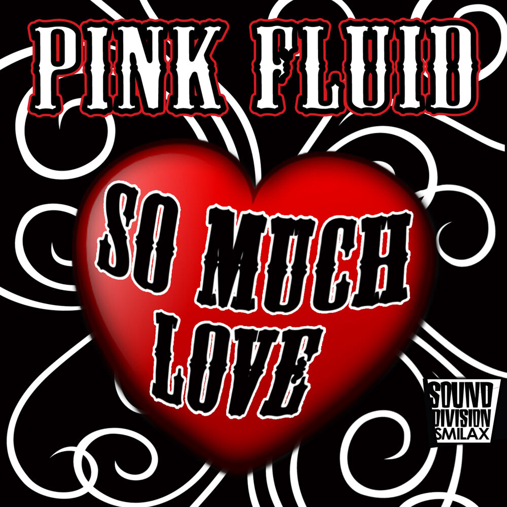 Picture of So Much Love (Album)