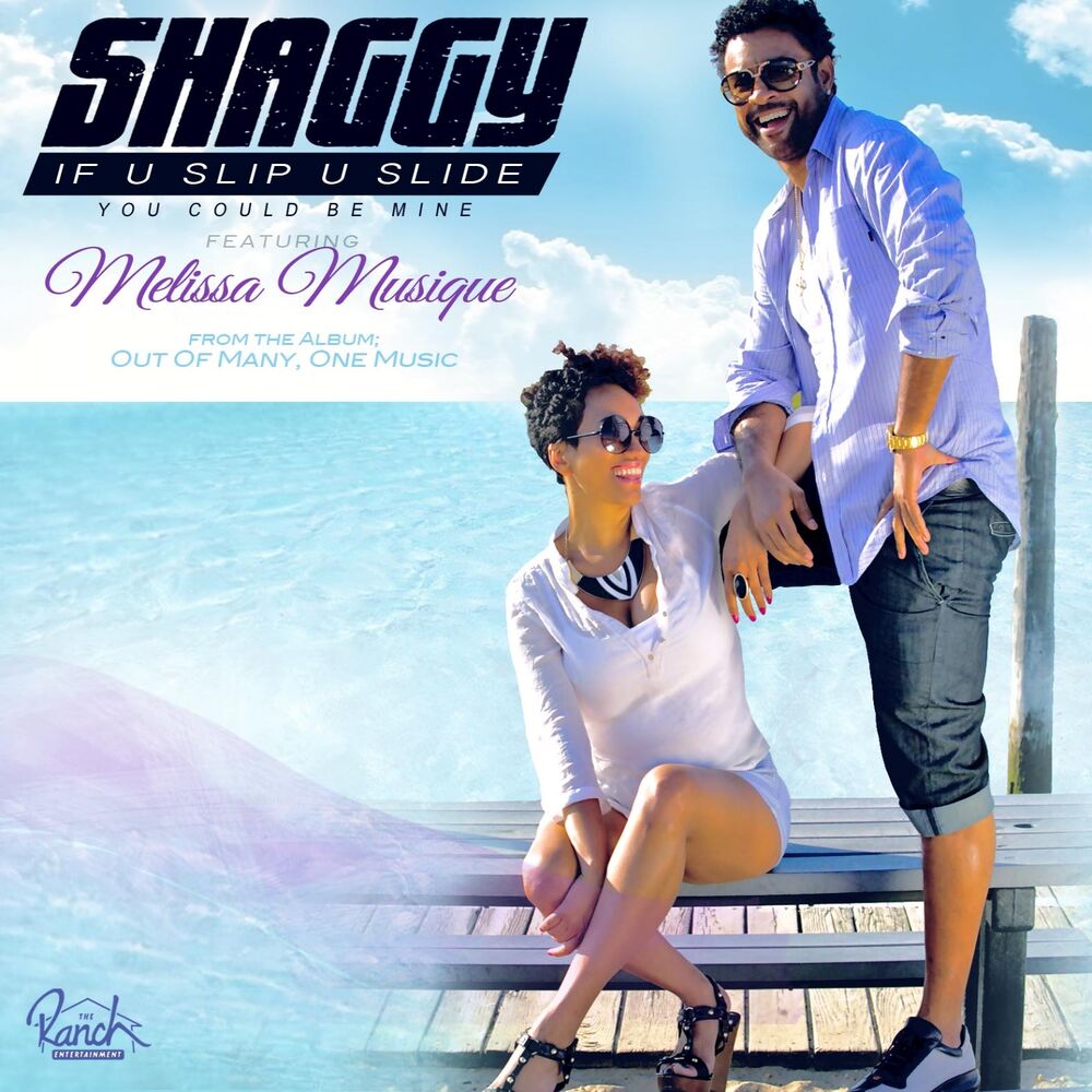 Picture of If U Slip U Slide (You Could Be Mine) (feat. Melissa Musique) - Single