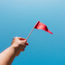 Cover of redflags