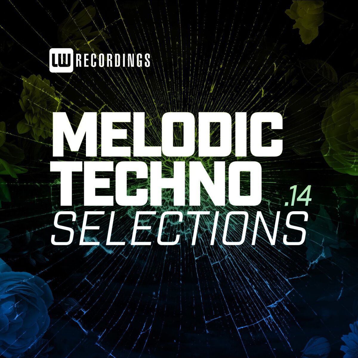 Album cover of Melodic Techno Selections, Vol. 14