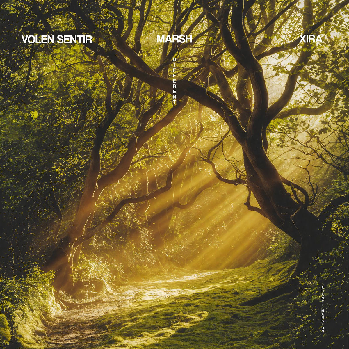Album cover of Different
