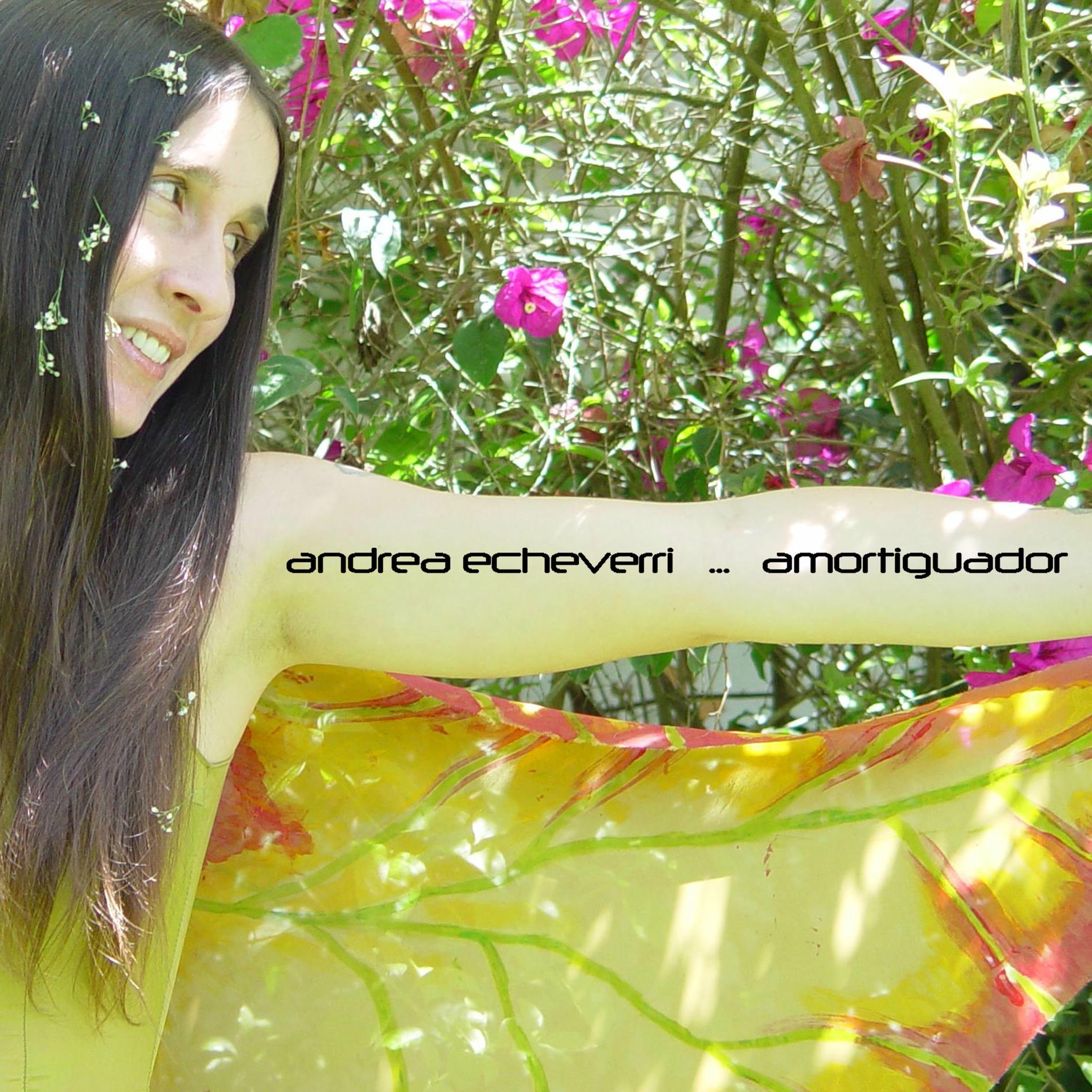 Album cover of Amortiguador