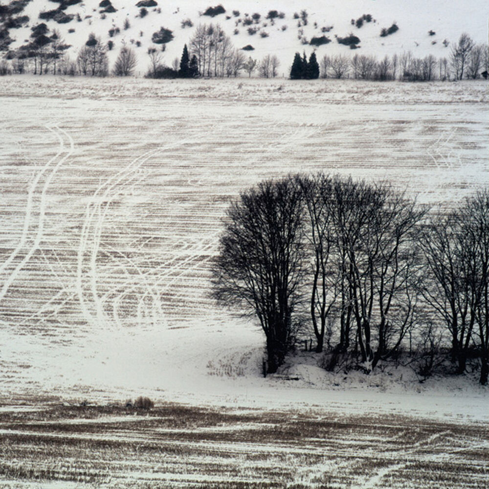 Picture of Expanses
