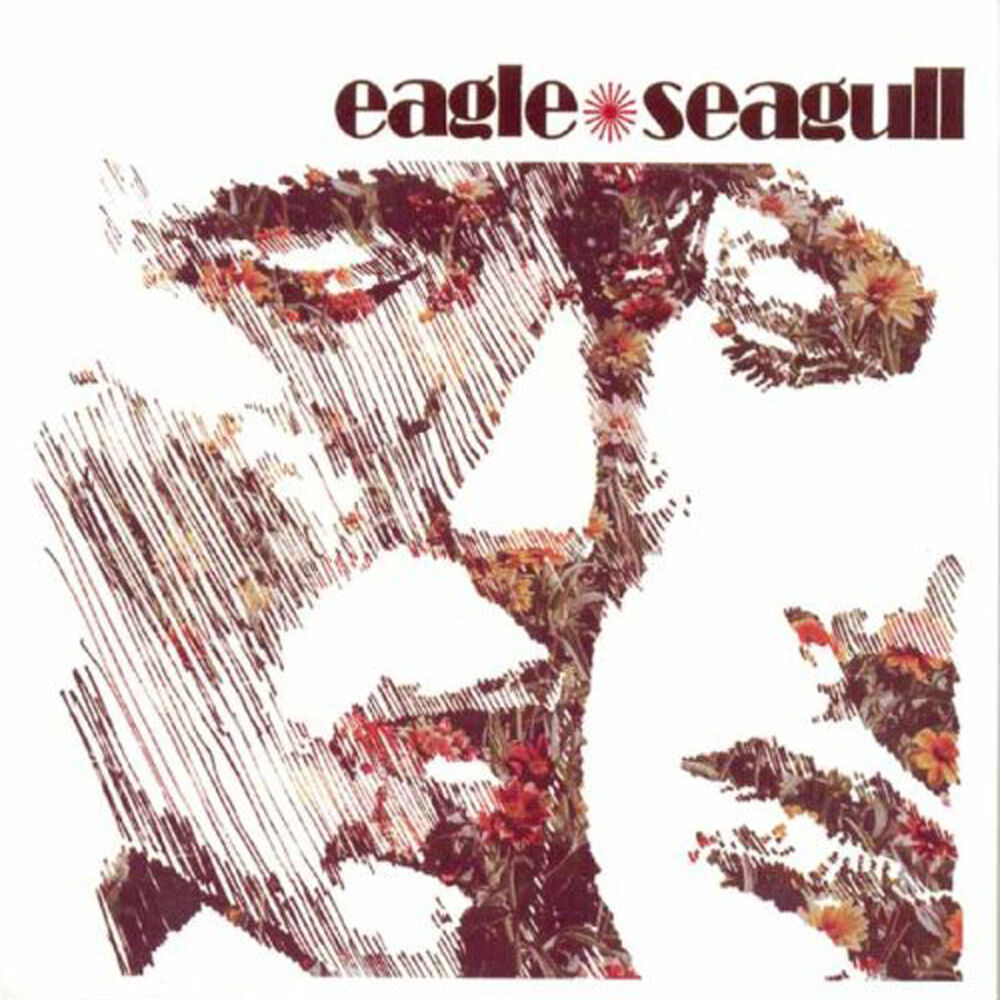 Picture of Eagle Seagull
