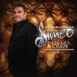 Cover of I'll Go Crazy